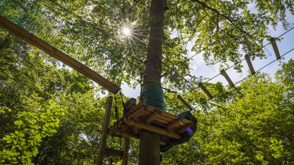 Kletterstation im Kletterwald Speyer