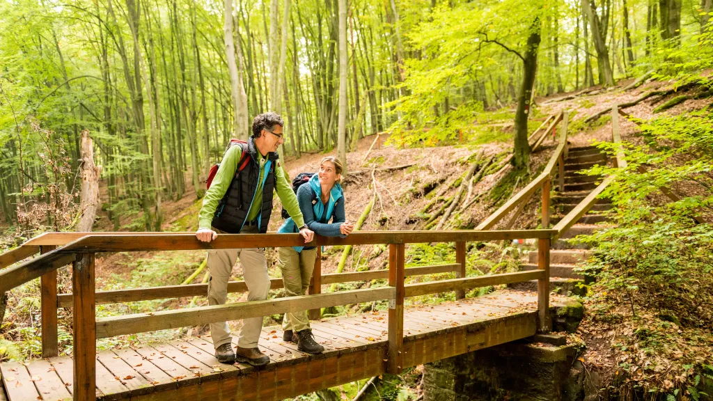 Wandern auf dem Sagenhaften Waldpfad bei Bruchmühlbach-Miesau