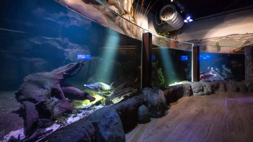 Wasserbecken Innenbereich im SEA LIFE Speyer