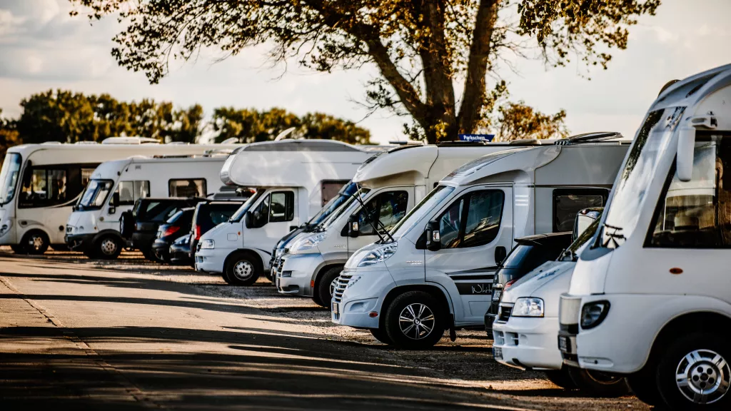 Verschiedene Wohnmobile stehen in einer Reihe unter Bäumen