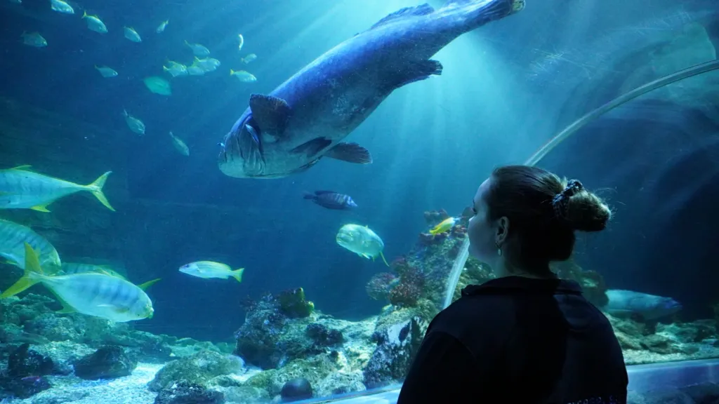 Frau steht in einem Tunnelbecken über ihr schwimmen Fische