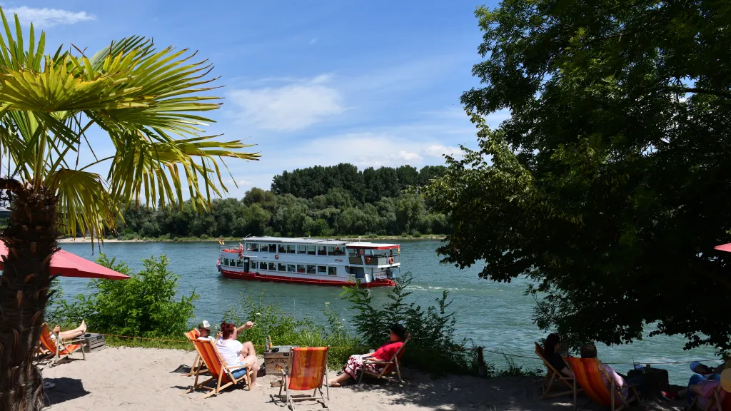 Ein Schiff fährt auf einem Fluss, vorne ist ein Strand mit Palme zu sehen