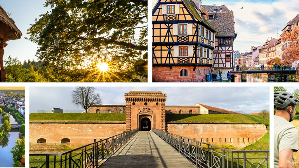Bildcollage Elsass Südpfalz