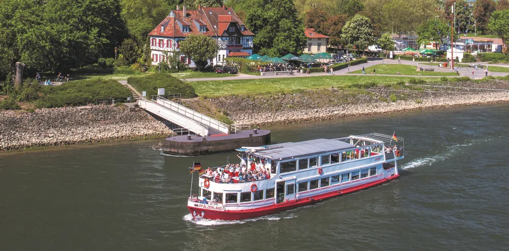 Das Ausflugsschiff "Pfälzerland" vor dem Speyerer Dom.