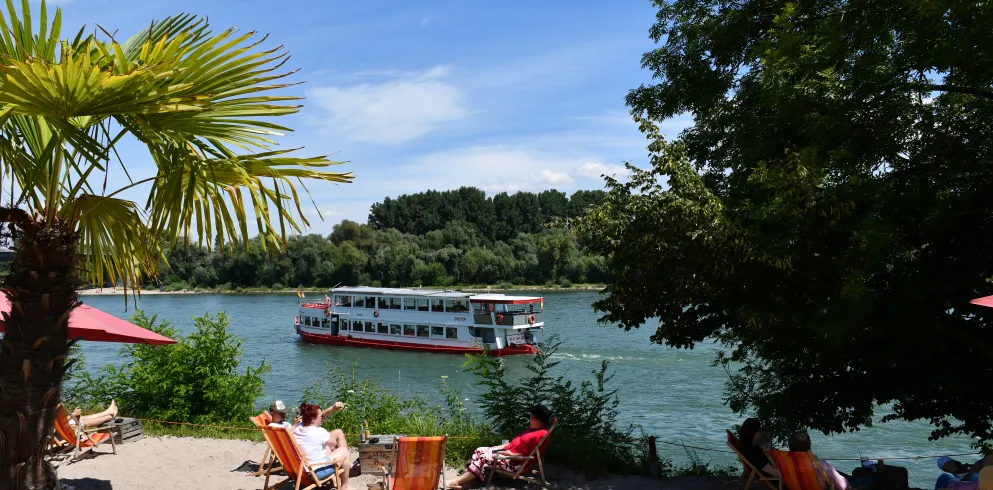 Ein Schiff fährt auf einem Fluss, vorne ist ein Strand mit Palme zu sehen