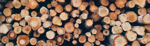 Holz als Rohstoff