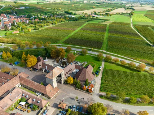 Anfang oder Ende der Dt. Weinstraße: Das Weintor in Schweigen-Rechtenbach (© CCBY - Pfalz.Touristik e.V. - Heimatlichter GmbH) Anfang oder Ende der Dt. Weinstraße: Das Weintor in Schweigen-Rechtenbach