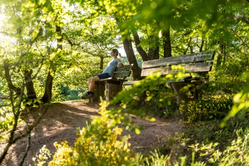Durchatmen auf der Pfälzer Hüttentour 