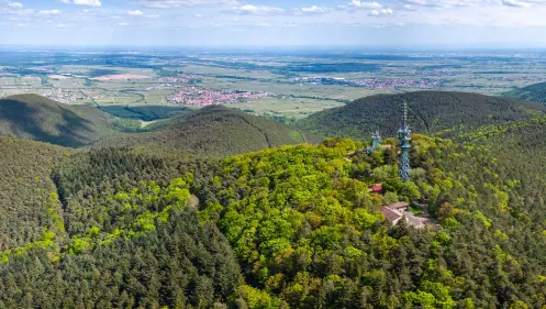 Ausflugsziel mit Aussicht auf die Südliche Weinstraße- Große Kalmit bei Maikammmer (© CCBY - Pfalz.Touristik e.V. - Heimatlichter GmbH) Ausflugsziel mit Aussicht auf die Südliche Weinstraße- Große Kalmit bei Maikammmer
