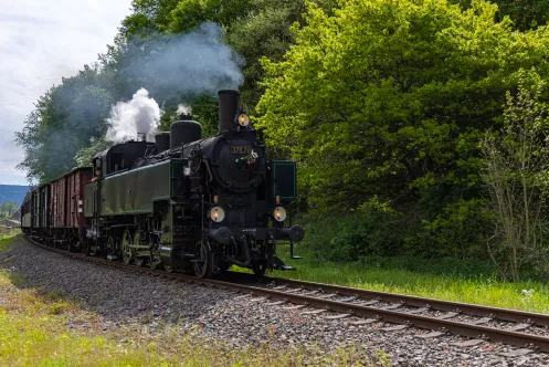 Museumsbahn Kuckucksbähnel