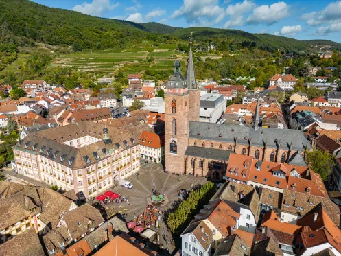 Stiftskirche mit Türmerwohnung am Markplatz in Neustadt