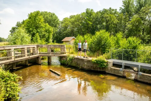 Teilungswehr an der Storchentour in den Queichwiesen bei Ottersheim (© CC-BY-SA Pfalz.Touristik - Heimatlichter GmbH) Teilungswehr an der Storchentour in den Queichwiesen bei Ottersheim