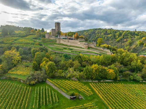 Wachtenburg bei Wachenheim an der Weinstraße