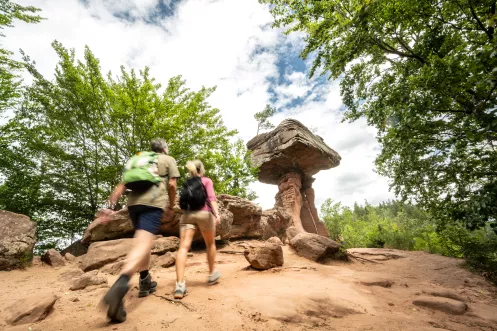 Wanderung zum Teufelstisch bei Hinterweidenthal