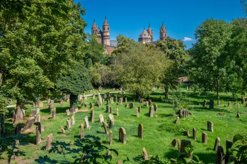 Jüdischer Friedhof Heiliger Sand mit Wormser Dom im Hintergrund