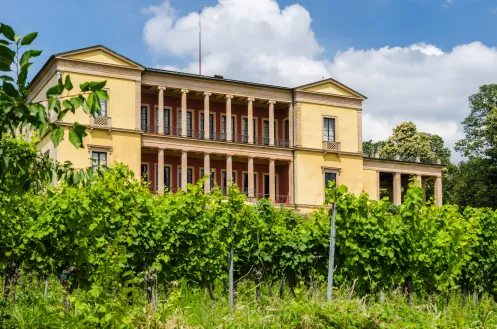 Ein stattliches hellgelbes Gebäude inmitten von Weinbergen
