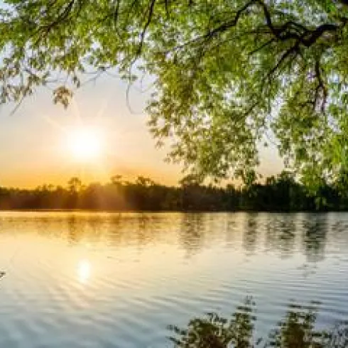 Badesee (© Adobe Stock)