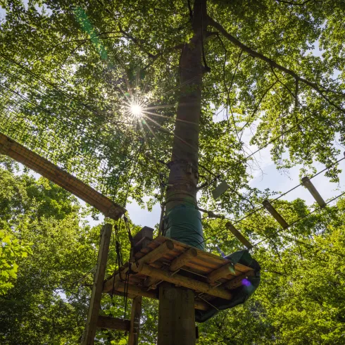 Kletterstation im Kletterwald Speyer