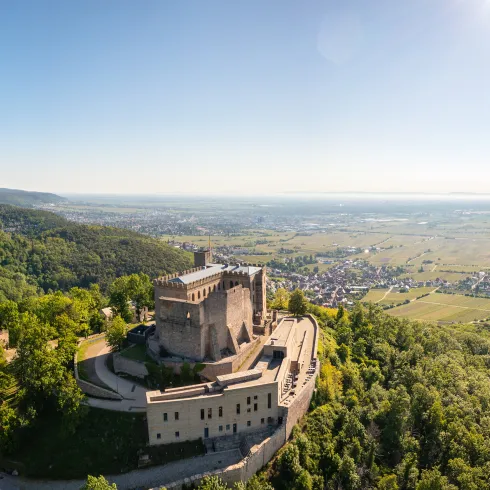Hambacher Schloss aus der Luft