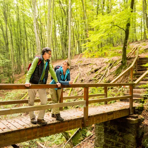 Wandern auf dem Sagenhaften Waldpfad bei Bruchmühlbach-Miesau