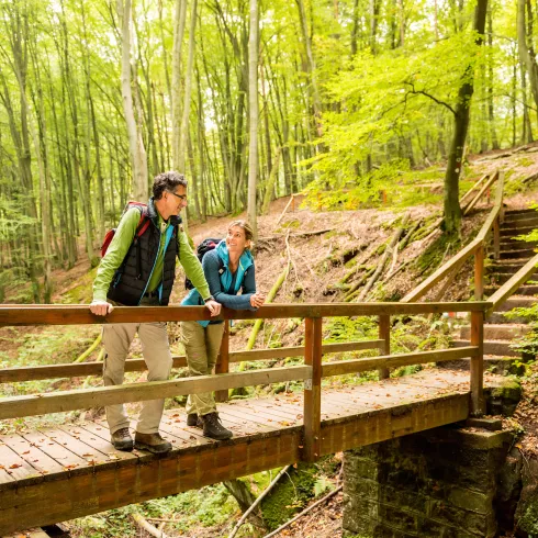 Wandern auf dem Sagenhaften Waldpfad bei Bruchmühlbach-Miesau