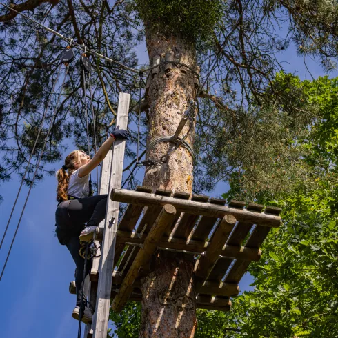 Kletterwald Speyer