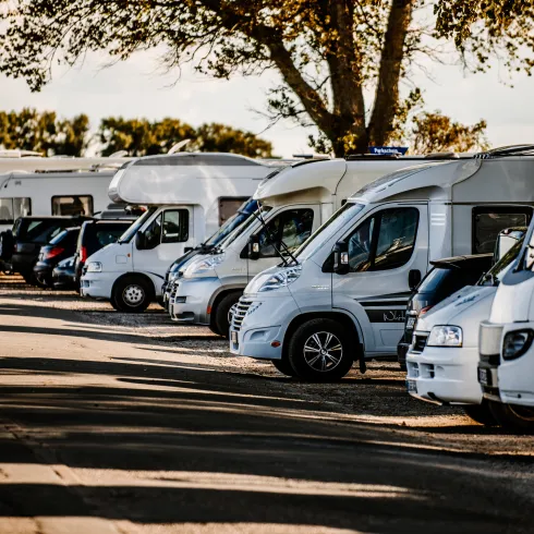 Verschiedene Wohnmobile stehen in einer Reihe unter Bäumen