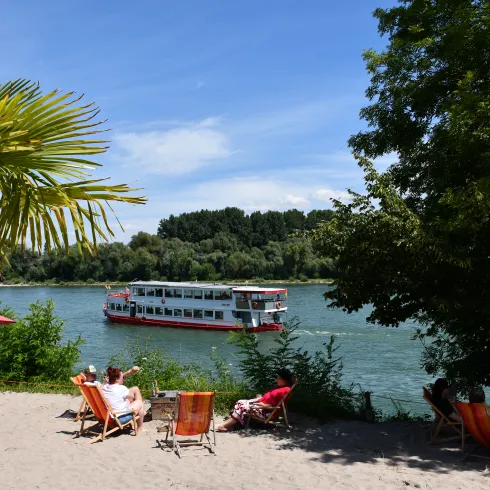 Ein Schiff fährt auf einem Fluss, vorne ist ein Strand mit Palme zu sehen