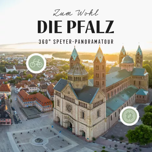 Dom und Innenstadt Speyer aus der Vogelperspektive