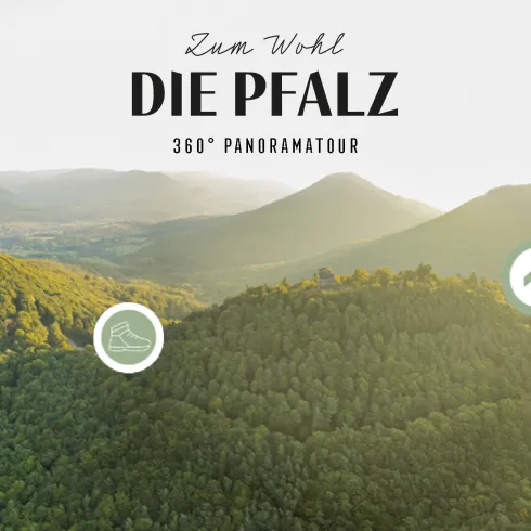Panoramablick auf den Pfälzerwald mit Burg Trifels